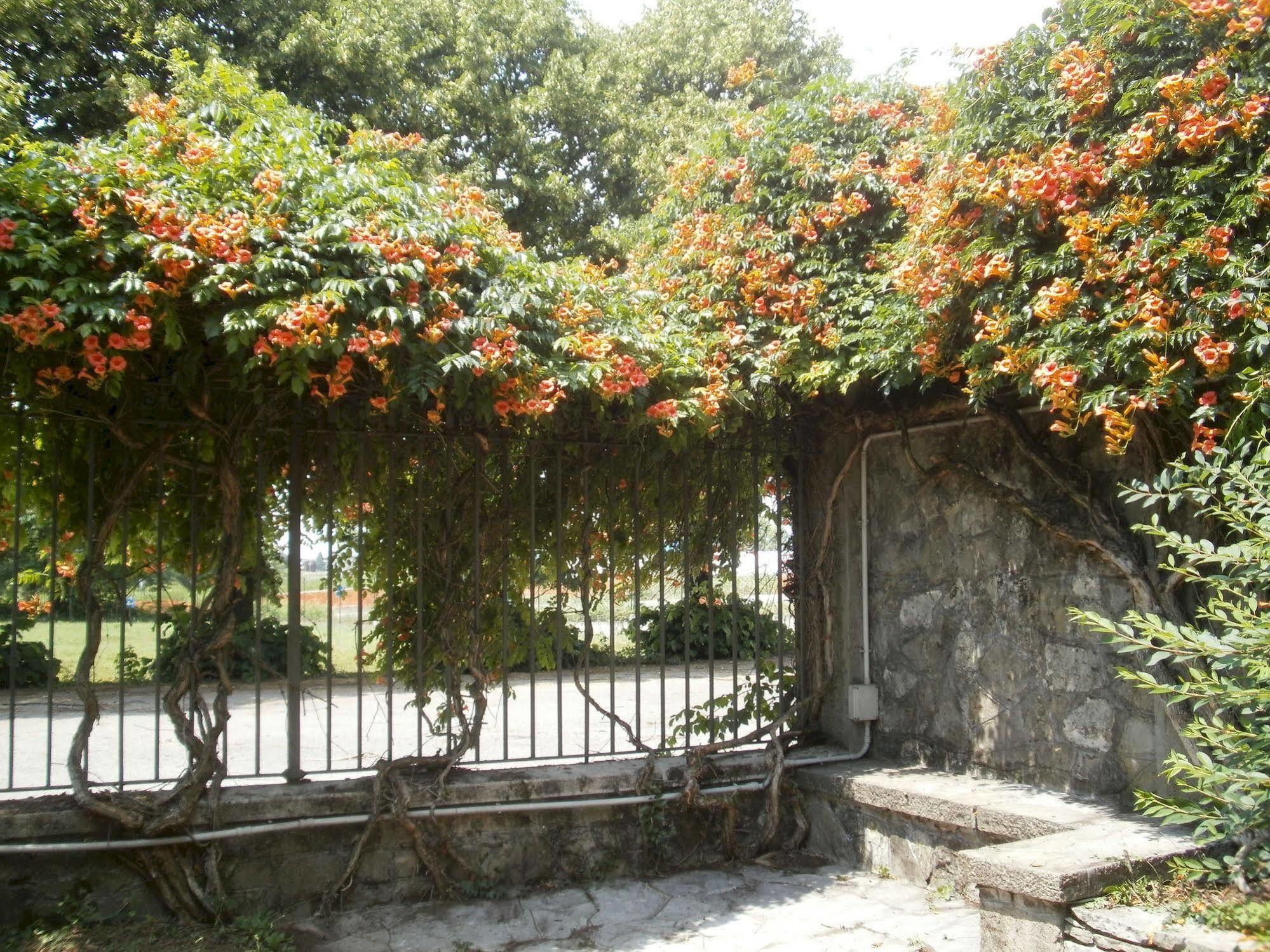 & Roma 3* Pallazzolo sullʼOglio